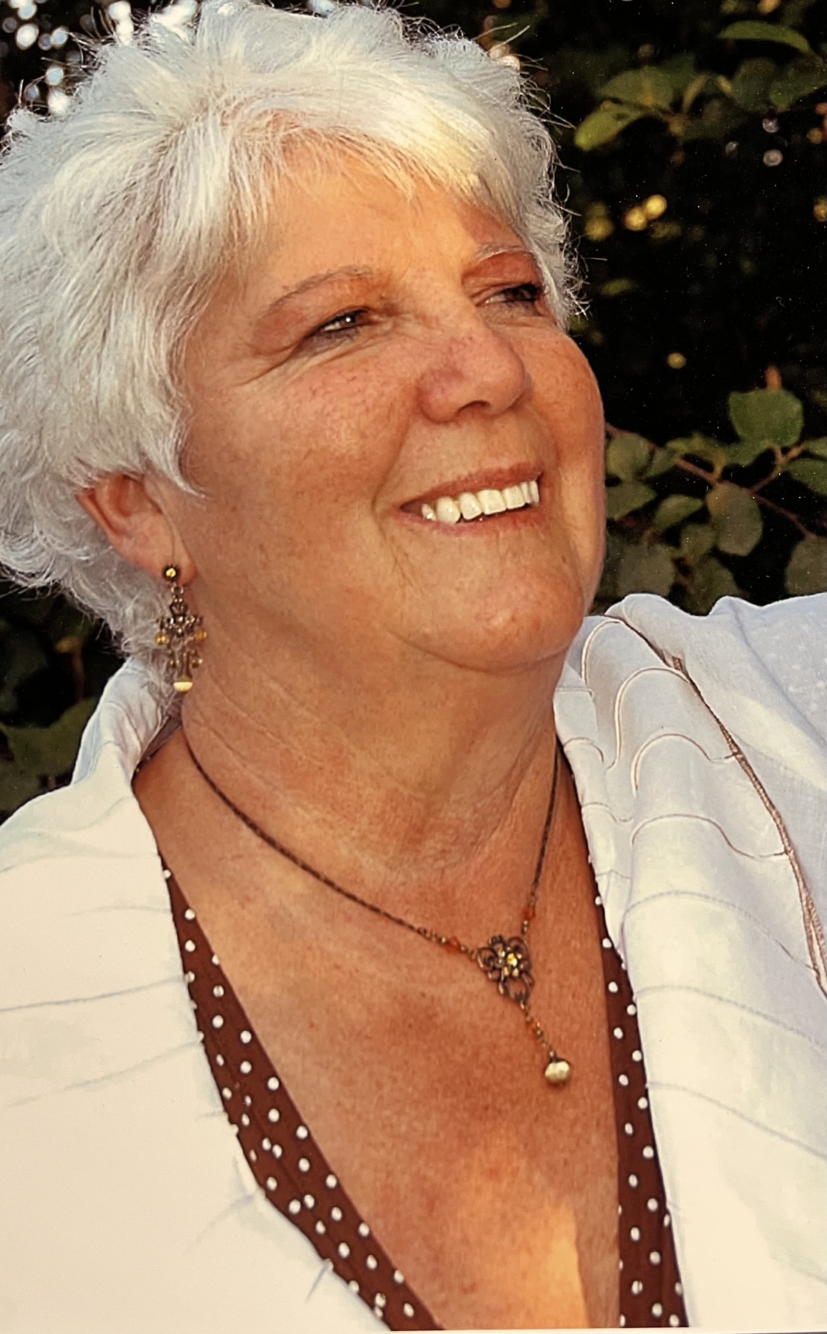 Pâquerette Bolduc Masse