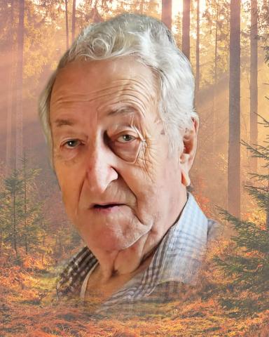 Yvon Bergeron