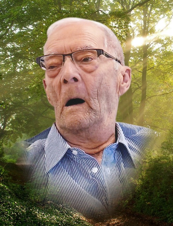 Raymond Lévesque