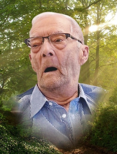 Raymond Lévesque