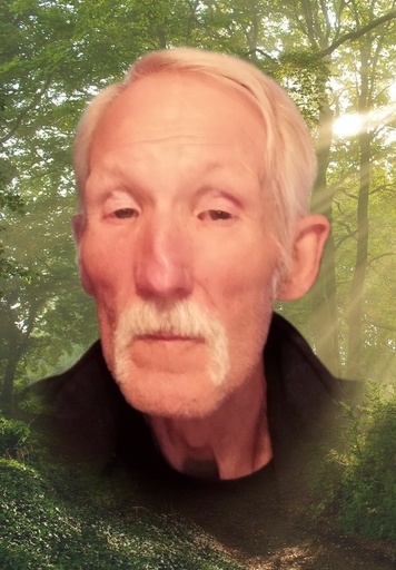 Raymond Constantineau