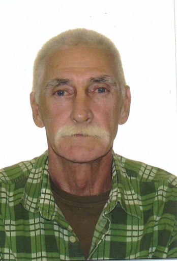 Émile Brisebois
