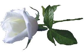 Thérèse Courchesne