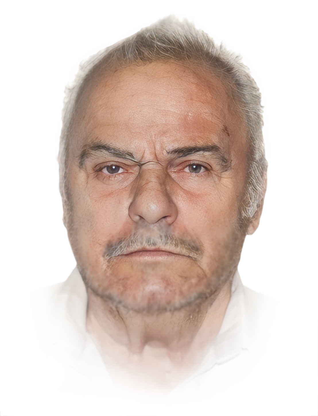 Robert Morin